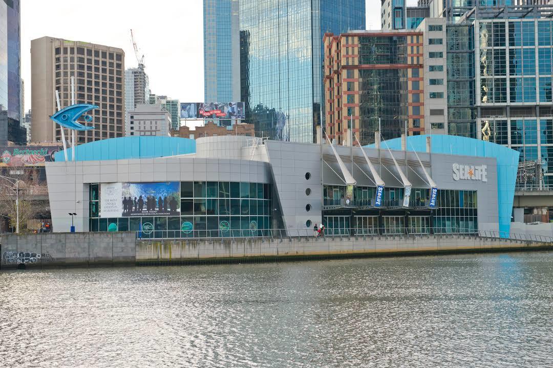 Acuario de Melbourne